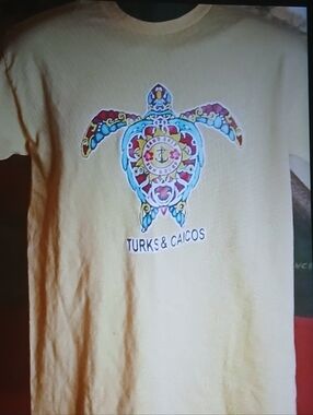 Gildan Yellow Kids Tee with Colorful Turtle Graphic